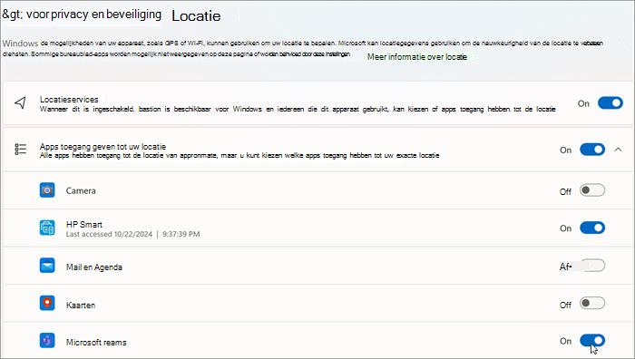 Schermafbeelding van het venster met instellingen voor locaties in Windows 11