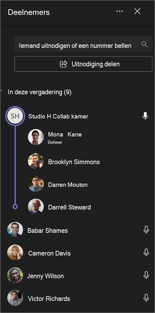 Schermopname die laat zien hoe deelnemers aan een vergadering worden gegroepeerd in een rooster