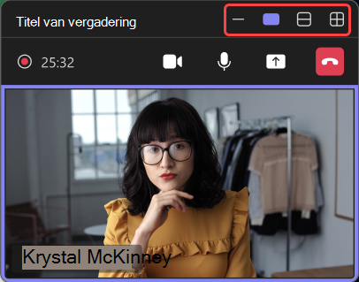 Schermopname waarin verschillende weergaven in het geminimaliseerde vergadervenster zijn gemarkeerd.