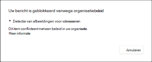 In een dialoogvenster wordt uitgelegd waarom een bericht is verwijderd omdat het inhoud voor volwassenen bevat.