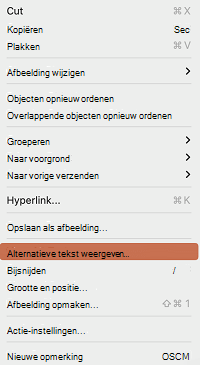 De optie Alternatieve tekst weergeven in het contextmenu in PowerPoint voor Mac.