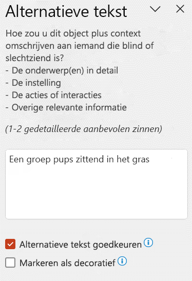 Automatische alternatieve tekst die wordt weergegeven in het deelvenster Alt tekst met het selectievakje Alt tekst goedkeuren ingeschakeld.
