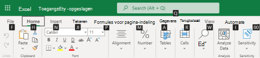 Belangrijke tips voor het linttabblad in de webversie van Excel.