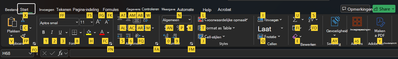 Toetstips op het Excel -lint.