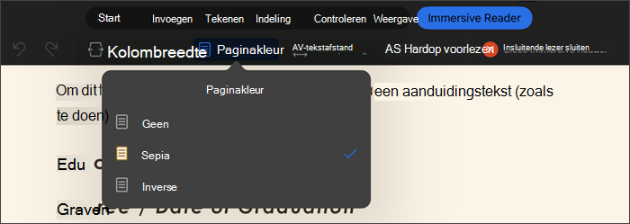 schermopname van insluitende lezer met paginakleur geselecteerd, opties zijn geen, sepia, inverse