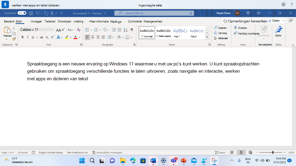 Word document met de opdracht voor spraaktoegang voor het invoegen van tekst.