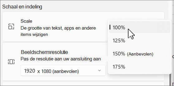 Schermopname van schaal- en indelingsopties.