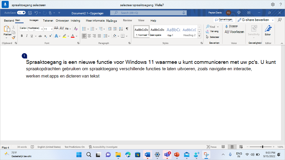 Word document met spraaktoegang waarin de gebruiker wordt gevraagd een van de vele exemplaren te selecteren.