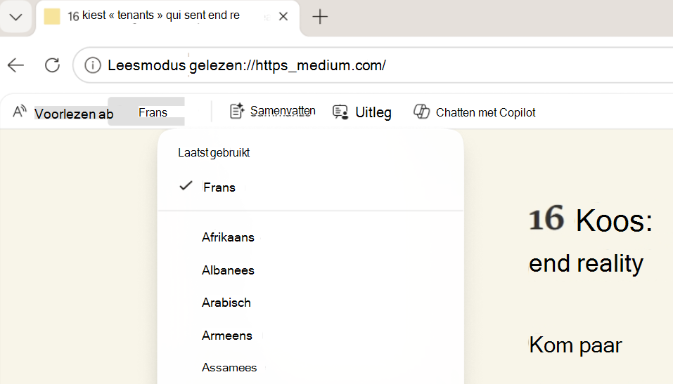 Schermopname van de leesmodus: Vertalen.