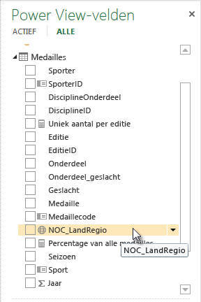 Pictogram voor geografische locatie in Power View-velden