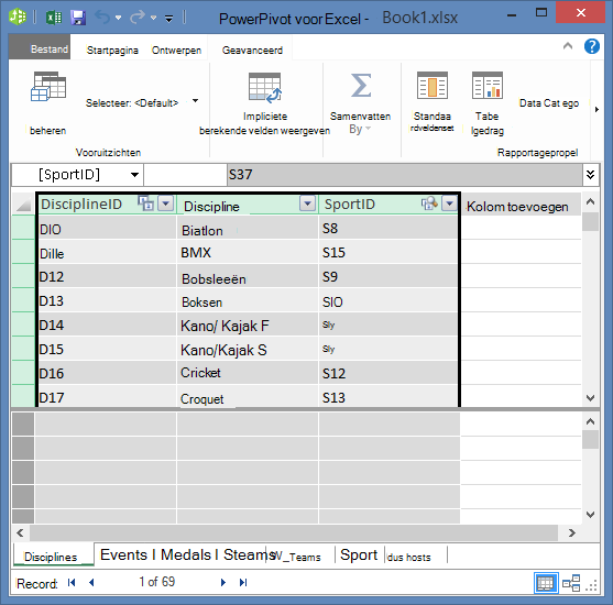 Velden kopiëren in PowerPivot