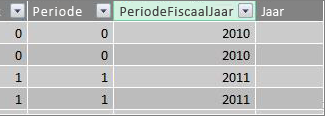 Kolom met fiscaal jaar voor periode