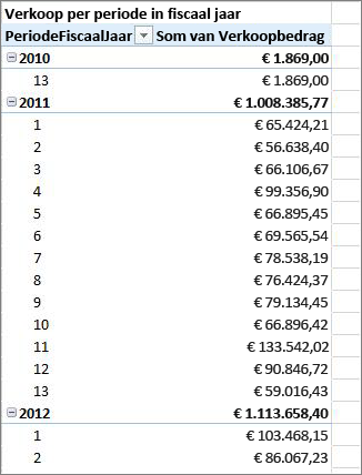 Voorbeelddraaitabel voor fiscaal jaar
