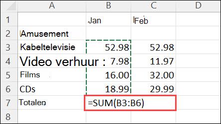 Formule gemaakt door te klikken op Start > AutoSom