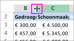 de kolombreedte wijzigen