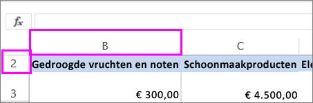Verborgen eerste kolom en rij
