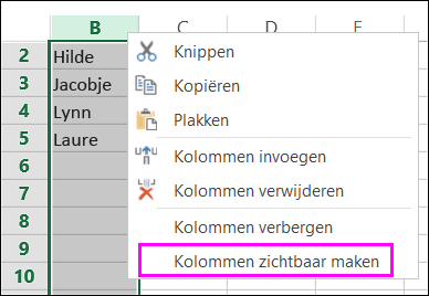 Optie Zichtbaar maken
