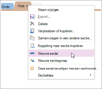 Een nieuwe sectie toevoegen in OneNote.