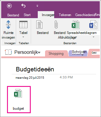 Schermafbeelding van een bijgevoegd spreadsheet in OneNote 2016.