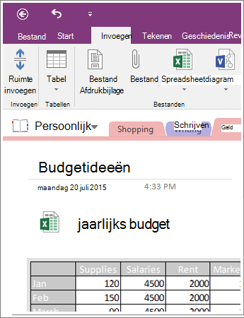 Schermafbeelding van een ingesloten werkblad in OneNote 2016.