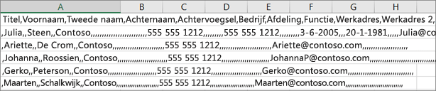 Een voorbeeld van een CSV-bestand opgeslagen in de XLS-indeling.