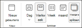 Schermopname van Calendar weergave met de optie Gesplitste weergave geselecteerd