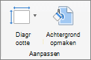 Schermafbeelding van de groep Aanpassen met de opties voor Diagrootte en Achtergrond opmaken.