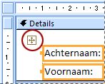 Een indelingskiezer op een formulier in ontwerpweergave