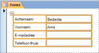 Velden op een formulier in een gestapelde indeling