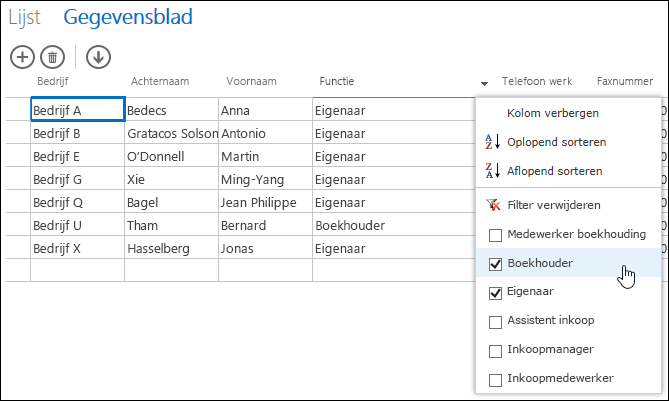 Filter options for Job Title column in datasheet