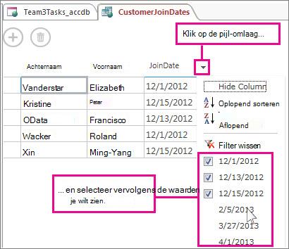 Een kolom in een query in een Access-app filteren.