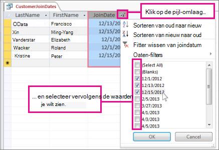 Een querykolom in een bureaubladdatabase filteren.