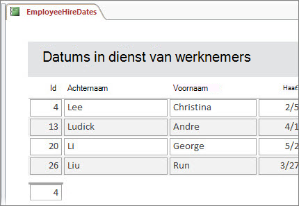 Een werknemersrapport wordt gefilterd op werknemers waarvan de achternamen beginnen met L.