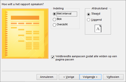 Een pagina in de wizard Rapport