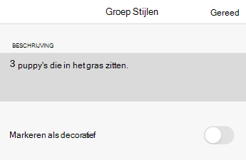 Dialoogvenster Alternatieve tekst in Excel voor iOS.