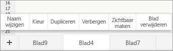 Geselecteerde bladtab, met de opdracht Naam wijzigen