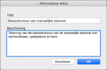 Dialoogvenster Alternatieve tekst voor OneNote op Mac.