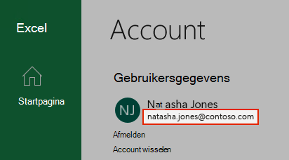 Een schermopname van een gebruikersaccount in Excel.