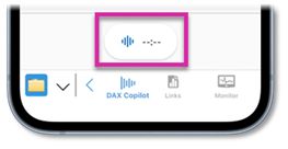 DAX Copilot-knop omgevingsopname in Haiku
