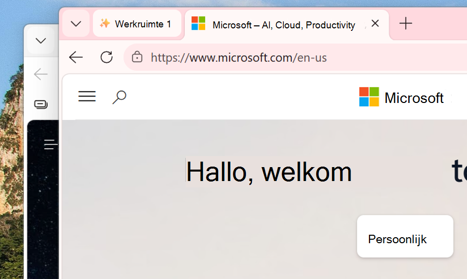 Schermafbeelding van werkruimte in een nieuw venster.