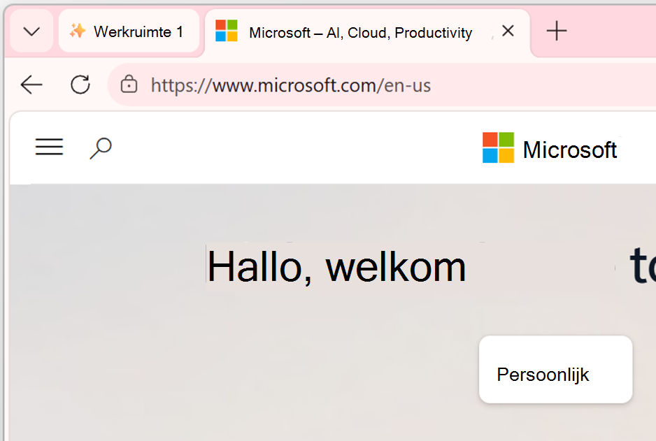 Schermafbeelding van werkruimtevenster.