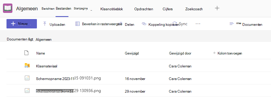 Schermafbeelding van bestanden.