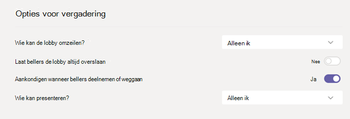 Vergaderopties in Teams.
