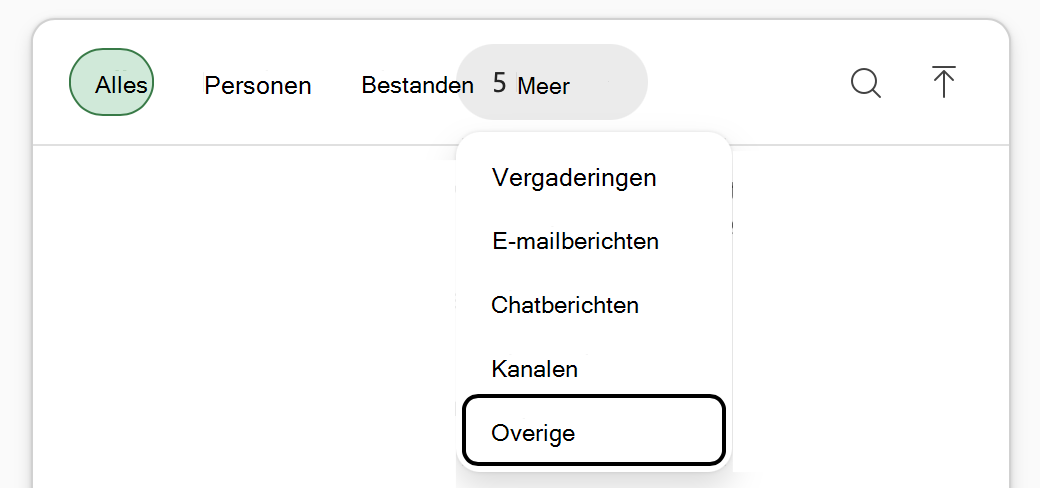 Schermopname van het menu Copilot in Excel Werkinhoud toevoegen, met 'Meer' en vervolgens 'Overig' gemarkeerd.