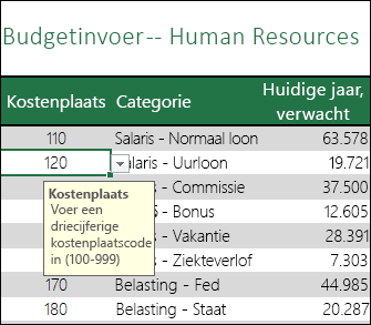 Er wordt een invoerbericht weergegeven wanneer gebruikers de cel selecteren