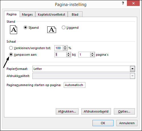 Definieer de optie Aanpassen aan in het dialoogvenster Pagina-instelling.