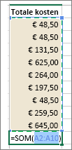 Schermafbeelding waarop wordt weergegeven nadat u AutoSom hebt geselecteerd, het selectiegebied en de formule worden weergegeven.