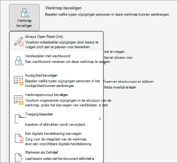 Werkmap beveiligen