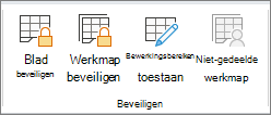 Opties Werkmap beveiligen