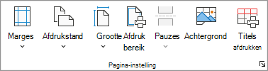 Schermafbeelding van de groep Pagina-instelling.